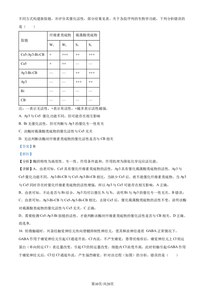 2024年高考生物试卷（广东）（解析卷）_生物历年高考真题_新&middot;Word版2008-2025&middot;高考生物真题_生物（按年份分类）2008-2025_2024&middot;高考生物真题