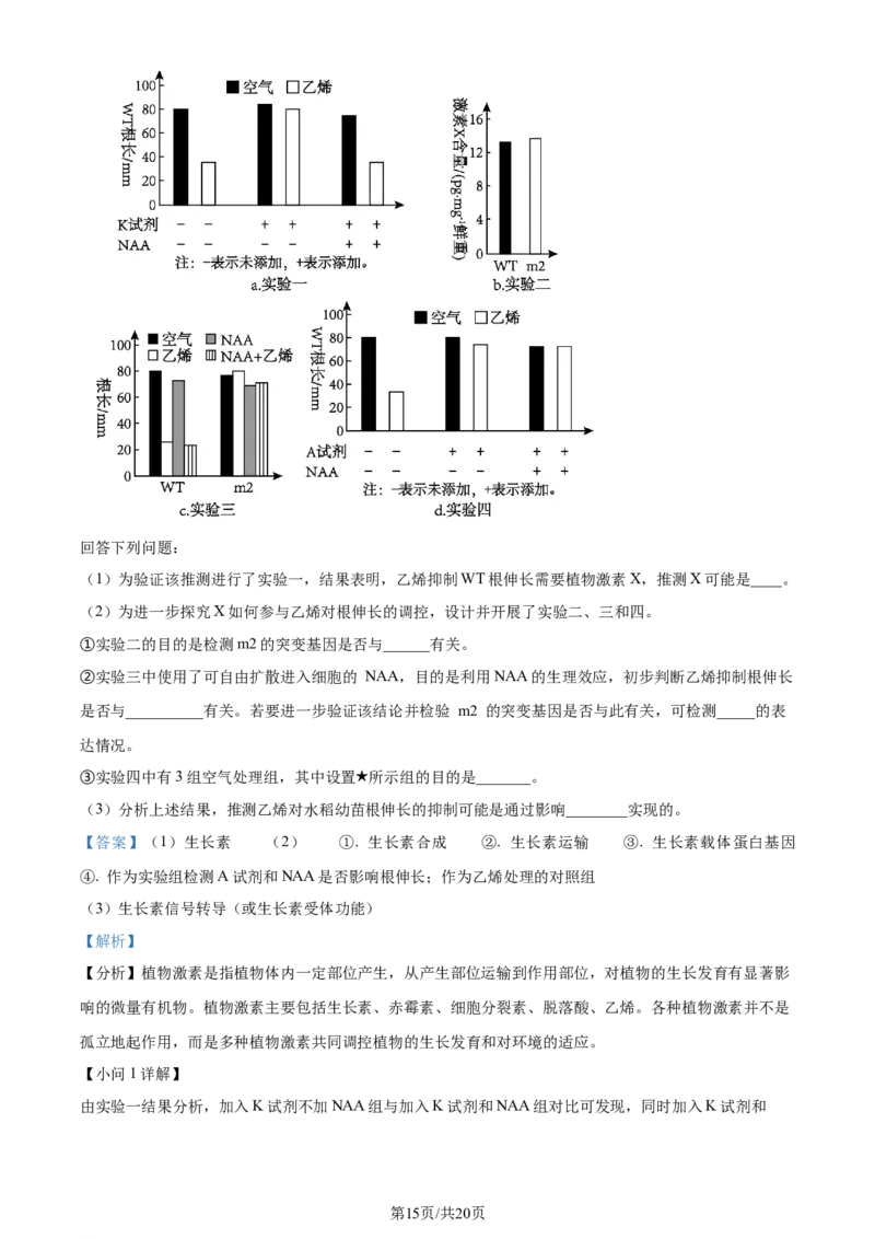 2024年高考生物试卷（广东）（解析卷）_生物历年高考真题_新&middot;Word版2008-2025&middot;高考生物真题_生物（按年份分类）2008-2025_2024&middot;高考生物真题