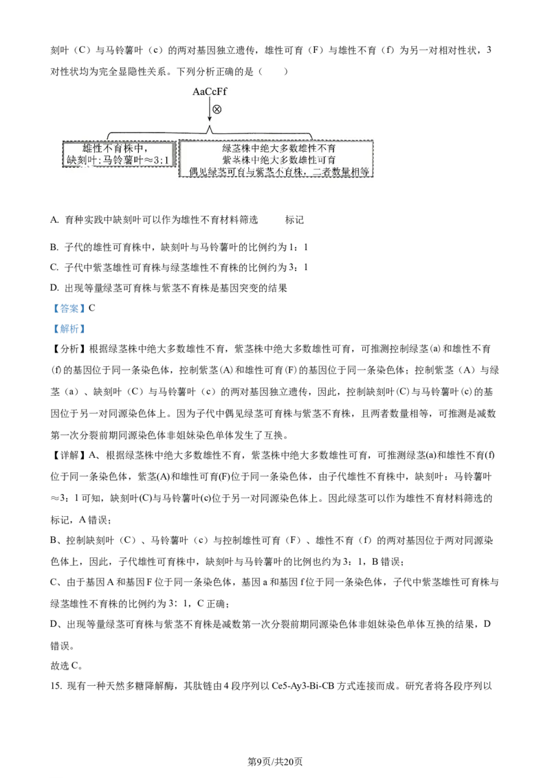 2024年高考生物试卷（广东）（解析卷）_生物历年高考真题_新&middot;Word版2008-2025&middot;高考生物真题_生物（按年份分类）2008-2025_2024&middot;高考生物真题