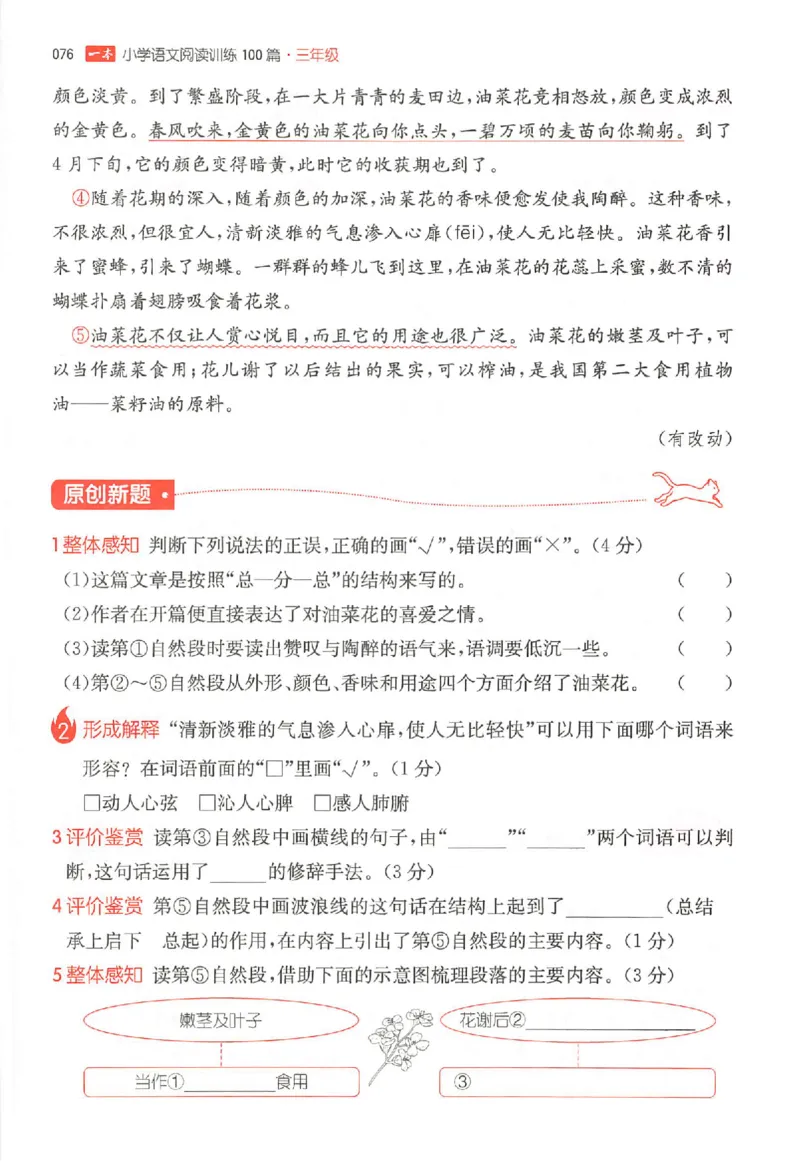 25秋一本小语阅读训练100篇三年级_25秋《一本小学语文阅读训练100篇第13版》1-6_一本小语阅读训练100篇3年级