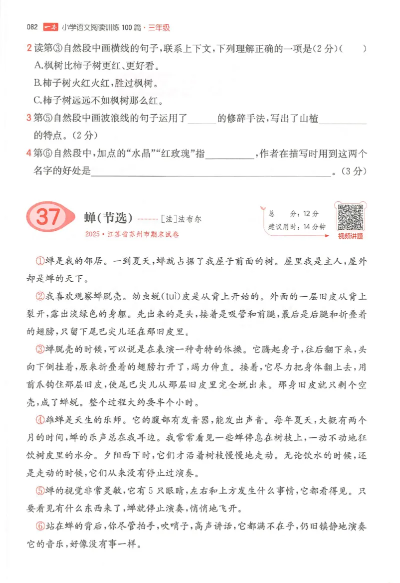 25秋一本小语阅读训练100篇三年级_25秋《一本小学语文阅读训练100篇第13版》1-6_一本小语阅读训练100篇3年级