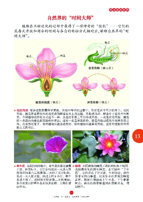 《年级阅读》语文3年级下册（RJ）_三年级上下册资料_小学三年级学习资料-25年更新版_3-02、小学三年级语文下册_3-2-2、练习题、作业、试题、试卷_电子册类