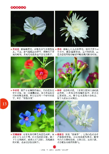 《年级阅读》语文3年级下册（RJ）_三年级上下册资料_小学三年级学习资料-25年更新版_3-02、小学三年级语文下册_3-2-2、练习题、作业、试题、试卷_电子册类