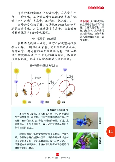 《年级阅读》语文3年级下册（RJ）_三年级上下册资料_小学三年级学习资料-25年更新版_3-02、小学三年级语文下册_3-2-2、练习题、作业、试题、试卷_电子册类