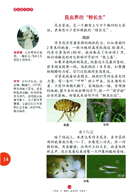 《年级阅读》语文3年级下册（RJ）_三年级上下册资料_小学三年级学习资料-25年更新版_3-02、小学三年级语文下册_3-2-2、练习题、作业、试题、试卷_电子册类