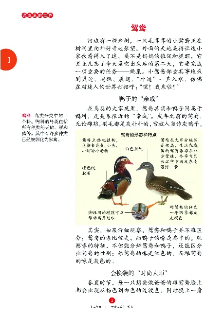 《年级阅读》语文3年级下册（RJ）_三年级上下册资料_小学三年级学习资料-25年更新版_3-02、小学三年级语文下册_3-2-2、练习题、作业、试题、试卷_电子册类