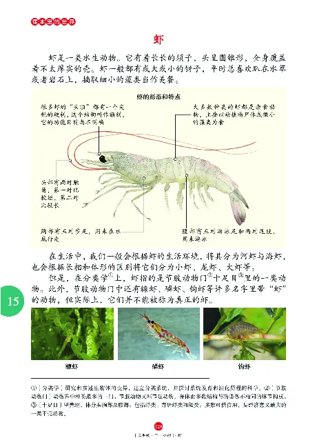 《年级阅读》语文3年级下册（RJ）_三年级上下册资料_小学三年级学习资料-25年更新版_3-02、小学三年级语文下册_3-2-2、练习题、作业、试题、试卷_电子册类