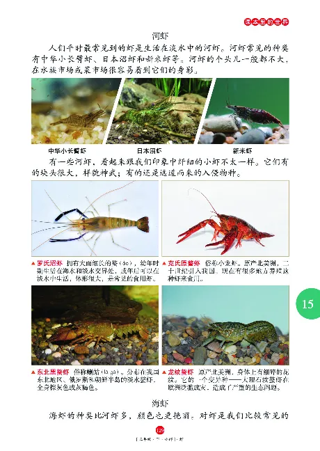 《年级阅读》语文3年级下册（RJ）_三年级上下册资料_小学三年级学习资料-25年更新版_3-02、小学三年级语文下册_3-2-2、练习题、作业、试题、试卷_电子册类