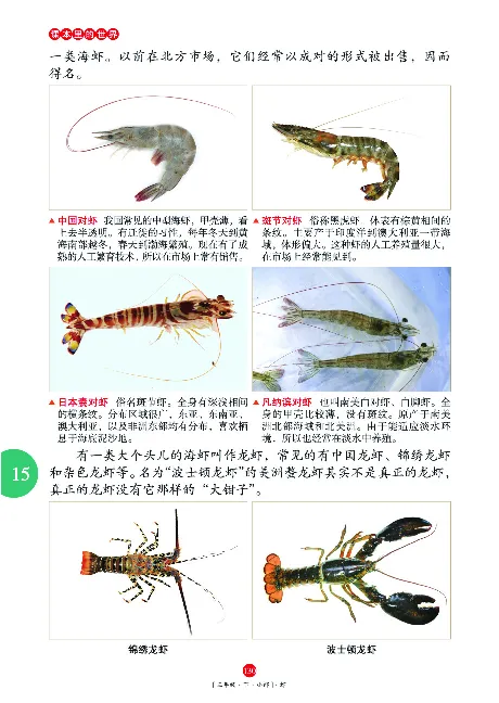 《年级阅读》语文3年级下册（RJ）_三年级上下册资料_小学三年级学习资料-25年更新版_3-02、小学三年级语文下册_3-2-2、练习题、作业、试题、试卷_电子册类