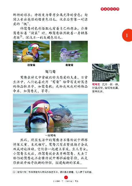 《年级阅读》语文3年级下册（RJ）_三年级上下册资料_小学三年级学习资料-25年更新版_3-02、小学三年级语文下册_3-2-2、练习题、作业、试题、试卷_电子册类