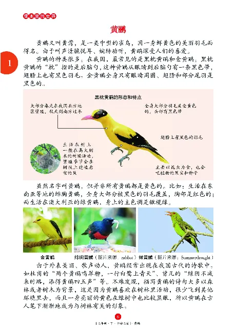 《年级阅读》语文3年级下册（RJ）_三年级上下册资料_小学三年级学习资料-25年更新版_3-02、小学三年级语文下册_3-2-2、练习题、作业、试题、试卷_电子册类