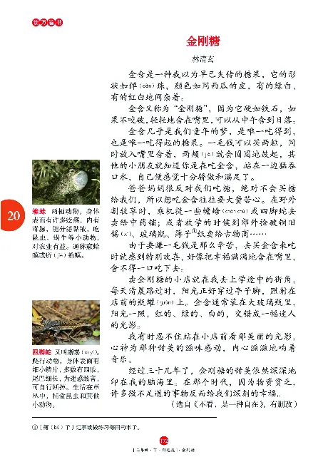 《年级阅读》语文3年级下册（RJ）_三年级上下册资料_小学三年级学习资料-25年更新版_3-02、小学三年级语文下册_3-2-2、练习题、作业、试题、试卷_电子册类