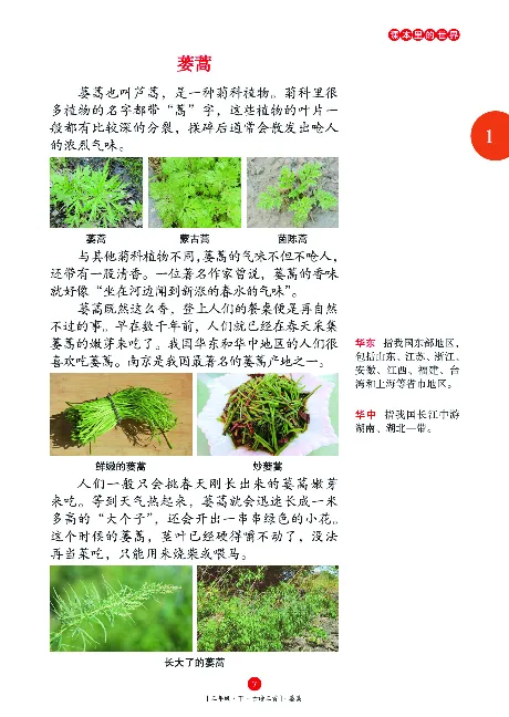 《年级阅读》语文3年级下册（RJ）_三年级上下册资料_小学三年级学习资料-25年更新版_3-02、小学三年级语文下册_3-2-2、练习题、作业、试题、试卷_电子册类