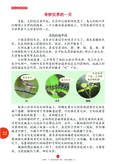 《年级阅读》语文3年级下册（RJ）_三年级上下册资料_小学三年级学习资料-25年更新版_3-02、小学三年级语文下册_3-2-2、练习题、作业、试题、试卷_电子册类