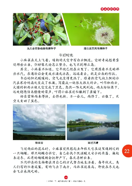 《年级阅读》语文3年级下册（RJ）_三年级上下册资料_小学三年级学习资料-25年更新版_3-02、小学三年级语文下册_3-2-2、练习题、作业、试题、试卷_电子册类