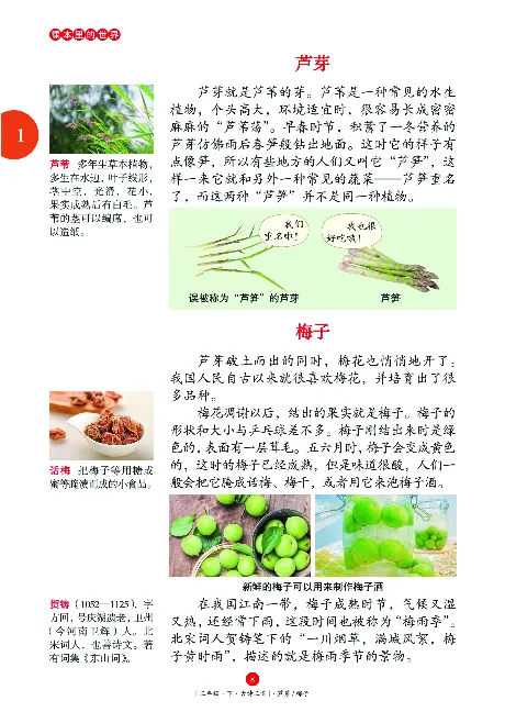 《年级阅读》语文3年级下册（RJ）_三年级上下册资料_小学三年级学习资料-25年更新版_3-02、小学三年级语文下册_3-2-2、练习题、作业、试题、试卷_电子册类