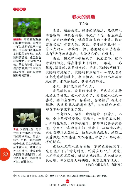 《年级阅读》语文3年级下册（RJ）_三年级上下册资料_小学三年级学习资料-25年更新版_3-02、小学三年级语文下册_3-2-2、练习题、作业、试题、试卷_电子册类