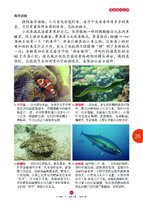 《年级阅读》语文3年级下册（RJ）_三年级上下册资料_小学三年级学习资料-25年更新版_3-02、小学三年级语文下册_3-2-2、练习题、作业、试题、试卷_电子册类