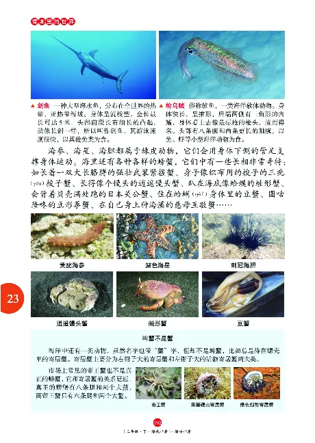 《年级阅读》语文3年级下册（RJ）_三年级上下册资料_小学三年级学习资料-25年更新版_3-02、小学三年级语文下册_3-2-2、练习题、作业、试题、试卷_电子册类