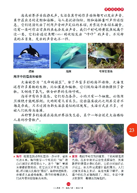 《年级阅读》语文3年级下册（RJ）_三年级上下册资料_小学三年级学习资料-25年更新版_3-02、小学三年级语文下册_3-2-2、练习题、作业、试题、试卷_电子册类