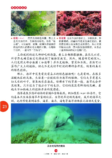 《年级阅读》语文3年级下册（RJ）_三年级上下册资料_小学三年级学习资料-25年更新版_3-02、小学三年级语文下册_3-2-2、练习题、作业、试题、试卷_电子册类