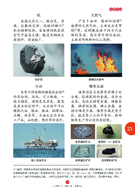 《年级阅读》语文3年级下册（RJ）_三年级上下册资料_小学三年级学习资料-25年更新版_3-02、小学三年级语文下册_3-2-2、练习题、作业、试题、试卷_电子册类