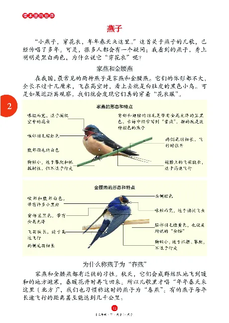 《年级阅读》语文3年级下册（RJ）_三年级上下册资料_小学三年级学习资料-25年更新版_3-02、小学三年级语文下册_3-2-2、练习题、作业、试题、试卷_电子册类
