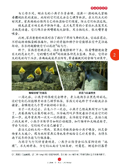 《年级阅读》语文3年级下册（RJ）_三年级上下册资料_小学三年级学习资料-25年更新版_3-02、小学三年级语文下册_3-2-2、练习题、作业、试题、试卷_电子册类