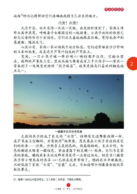 《年级阅读》语文3年级下册（RJ）_三年级上下册资料_小学三年级学习资料-25年更新版_3-02、小学三年级语文下册_3-2-2、练习题、作业、试题、试卷_电子册类