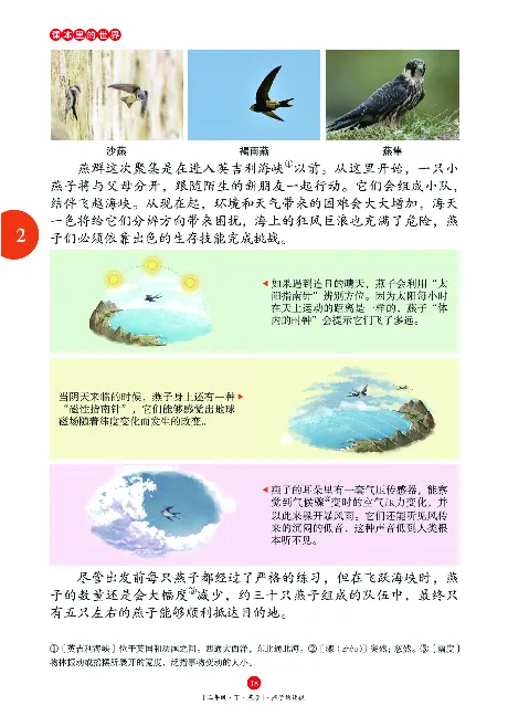 《年级阅读》语文3年级下册（RJ）_三年级上下册资料_小学三年级学习资料-25年更新版_3-02、小学三年级语文下册_3-2-2、练习题、作业、试题、试卷_电子册类