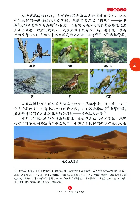 《年级阅读》语文3年级下册（RJ）_三年级上下册资料_小学三年级学习资料-25年更新版_3-02、小学三年级语文下册_3-2-2、练习题、作业、试题、试卷_电子册类