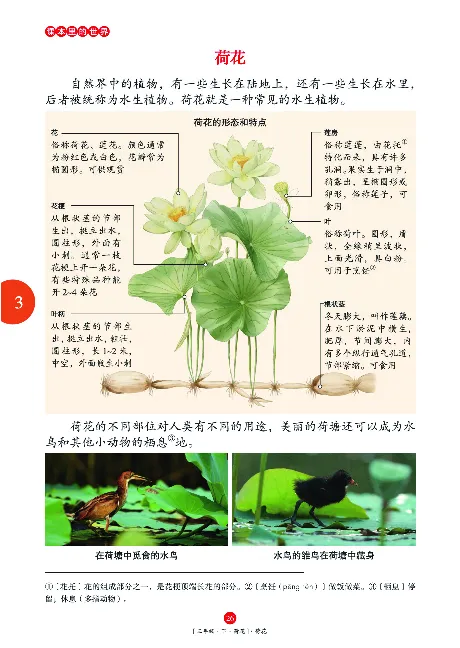 《年级阅读》语文3年级下册（RJ）_三年级上下册资料_小学三年级学习资料-25年更新版_3-02、小学三年级语文下册_3-2-2、练习题、作业、试题、试卷_电子册类