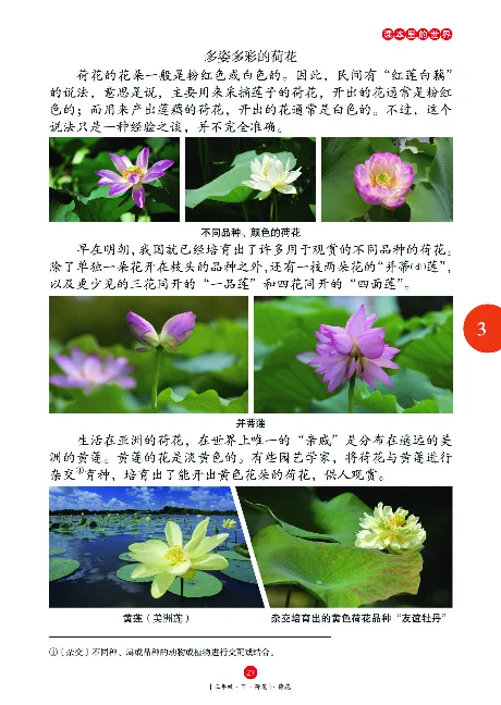 《年级阅读》语文3年级下册（RJ）_三年级上下册资料_小学三年级学习资料-25年更新版_3-02、小学三年级语文下册_3-2-2、练习题、作业、试题、试卷_电子册类