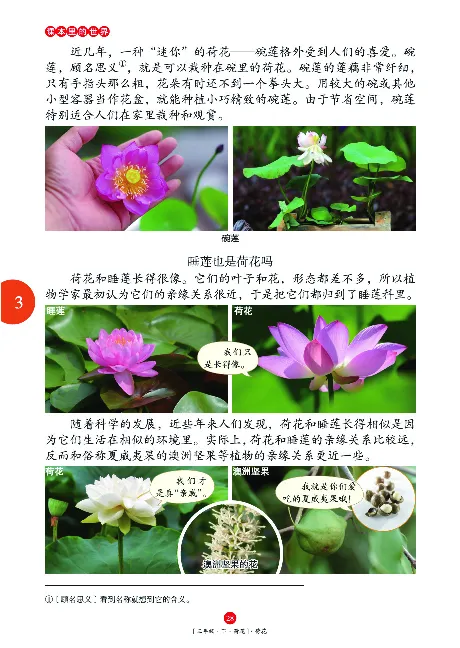 《年级阅读》语文3年级下册（RJ）_三年级上下册资料_小学三年级学习资料-25年更新版_3-02、小学三年级语文下册_3-2-2、练习题、作业、试题、试卷_电子册类