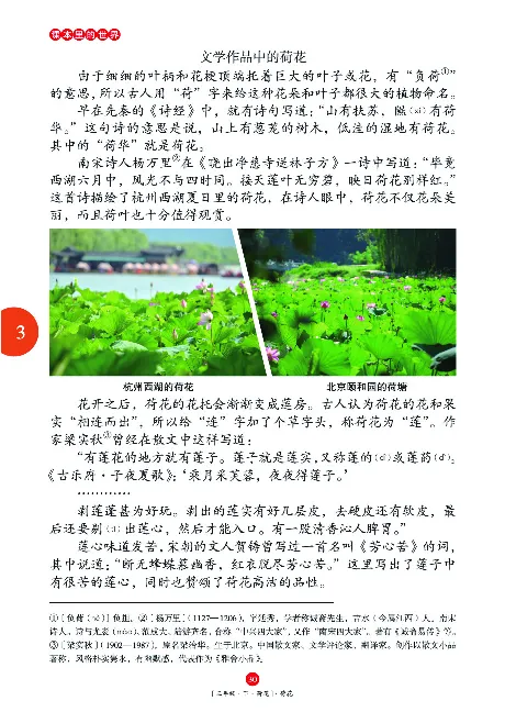 《年级阅读》语文3年级下册（RJ）_三年级上下册资料_小学三年级学习资料-25年更新版_3-02、小学三年级语文下册_3-2-2、练习题、作业、试题、试卷_电子册类