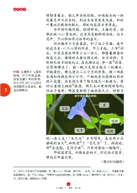 《年级阅读》语文3年级下册（RJ）_三年级上下册资料_小学三年级学习资料-25年更新版_3-02、小学三年级语文下册_3-2-2、练习题、作业、试题、试卷_电子册类