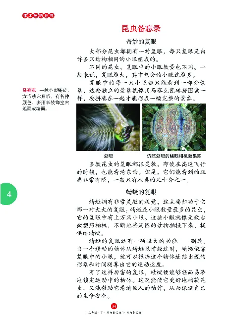 《年级阅读》语文3年级下册（RJ）_三年级上下册资料_小学三年级学习资料-25年更新版_3-02、小学三年级语文下册_3-2-2、练习题、作业、试题、试卷_电子册类