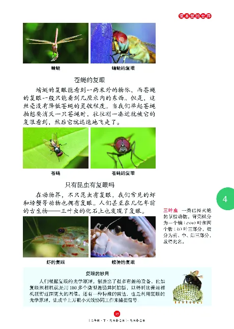 《年级阅读》语文3年级下册（RJ）_三年级上下册资料_小学三年级学习资料-25年更新版_3-02、小学三年级语文下册_3-2-2、练习题、作业、试题、试卷_电子册类