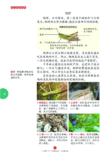 《年级阅读》语文3年级下册（RJ）_三年级上下册资料_小学三年级学习资料-25年更新版_3-02、小学三年级语文下册_3-2-2、练习题、作业、试题、试卷_电子册类