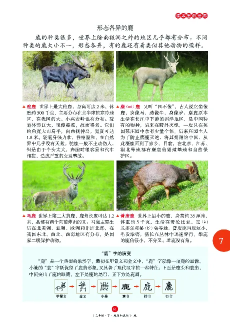 《年级阅读》语文3年级下册（RJ）_三年级上下册资料_小学三年级学习资料-25年更新版_3-02、小学三年级语文下册_3-2-2、练习题、作业、试题、试卷_电子册类