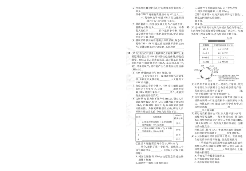 2025《金考卷&middot;特快专递&middot;第3期&middot;生物》A4_2025高中教辅（后续还会更新新习题试卷）_2025版《金考卷特快专递》_2025版金考卷特快专递第三期生物