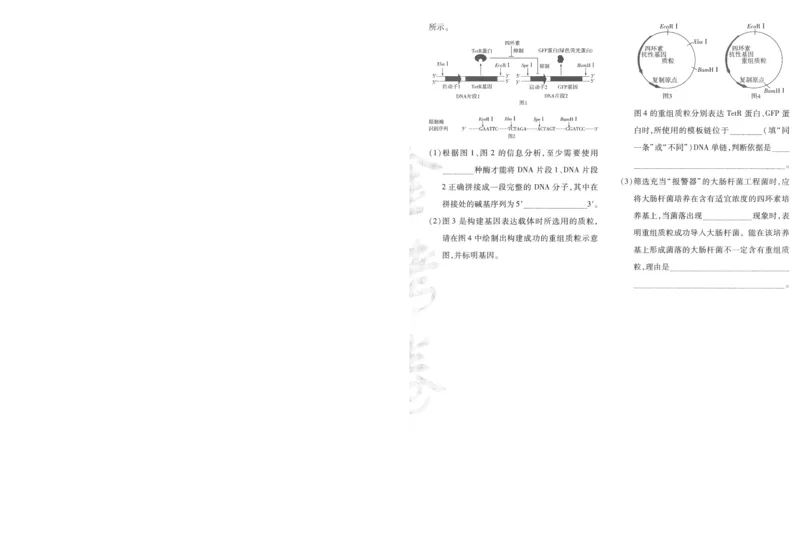 2025《金考卷&middot;特快专递&middot;第3期&middot;生物》A4_2025高中教辅（后续还会更新新习题试卷）_2025版《金考卷特快专递》_2025版金考卷特快专递第三期生物