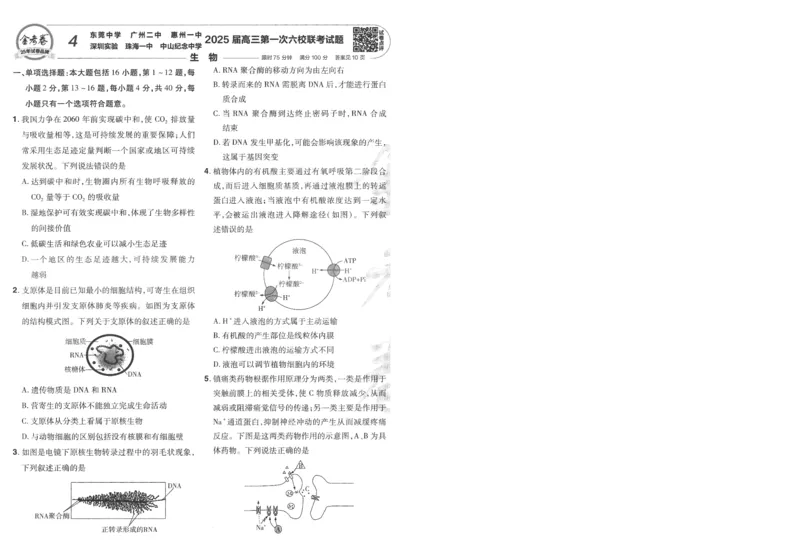 2025《金考卷&middot;特快专递&middot;第3期&middot;生物》A4_2025高中教辅（后续还会更新新习题试卷）_2025版《金考卷特快专递》_2025版金考卷特快专递第三期生物