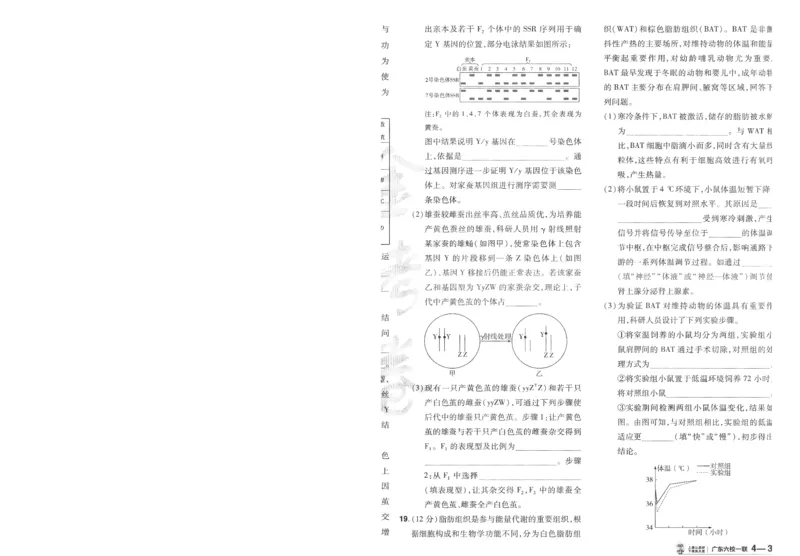 2025《金考卷&middot;特快专递&middot;第3期&middot;生物》A4_2025高中教辅（后续还会更新新习题试卷）_2025版《金考卷特快专递》_2025版金考卷特快专递第三期生物