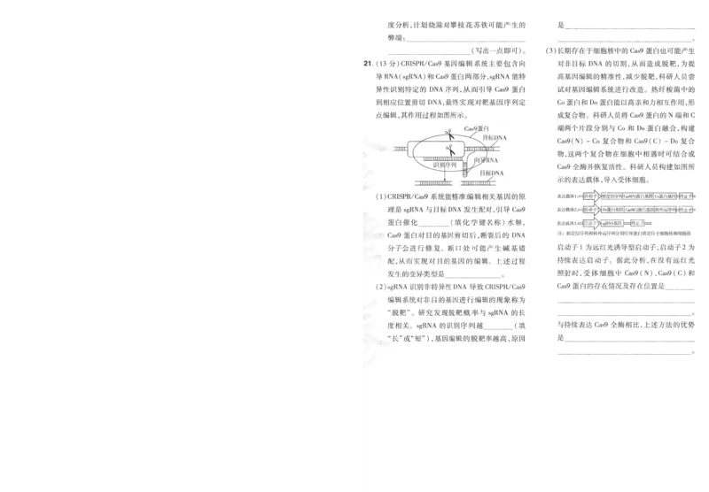 2025《金考卷&middot;特快专递&middot;第3期&middot;生物》A4_2025高中教辅（后续还会更新新习题试卷）_2025版《金考卷特快专递》_2025版金考卷特快专递第三期生物