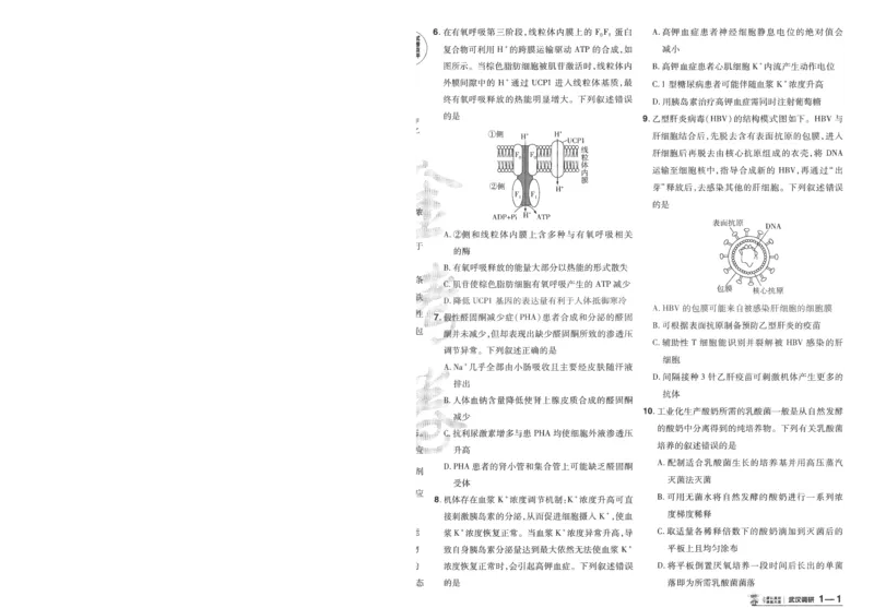 2025《金考卷&middot;特快专递&middot;第3期&middot;生物》A4_2025高中教辅（后续还会更新新习题试卷）_2025版《金考卷特快专递》_2025版金考卷特快专递第三期生物