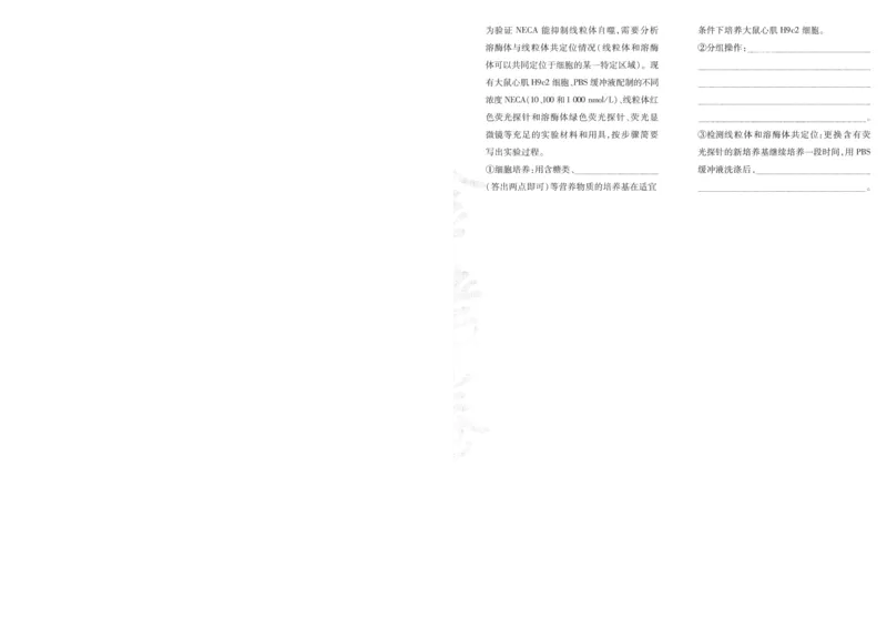 2025《金考卷&middot;特快专递&middot;第3期&middot;生物》A4_2025高中教辅（后续还会更新新习题试卷）_2025版《金考卷特快专递》_2025版金考卷特快专递第三期生物