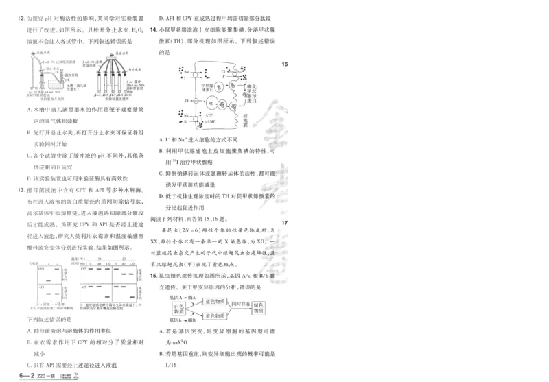 2025《金考卷&middot;特快专递&middot;第3期&middot;生物》A4_2025高中教辅（后续还会更新新习题试卷）_2025版《金考卷特快专递》_2025版金考卷特快专递第三期生物