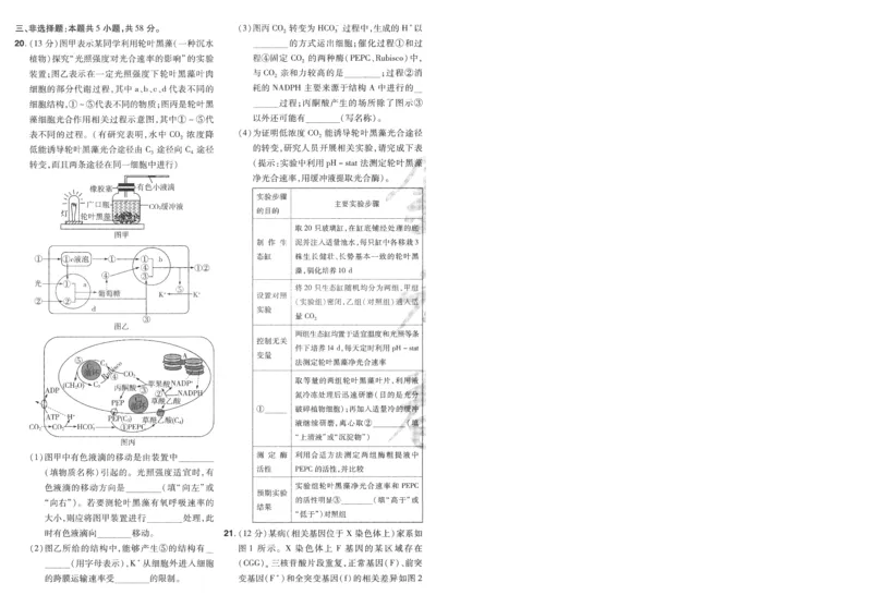 2025《金考卷&middot;特快专递&middot;第3期&middot;生物》A4_2025高中教辅（后续还会更新新习题试卷）_2025版《金考卷特快专递》_2025版金考卷特快专递第三期生物