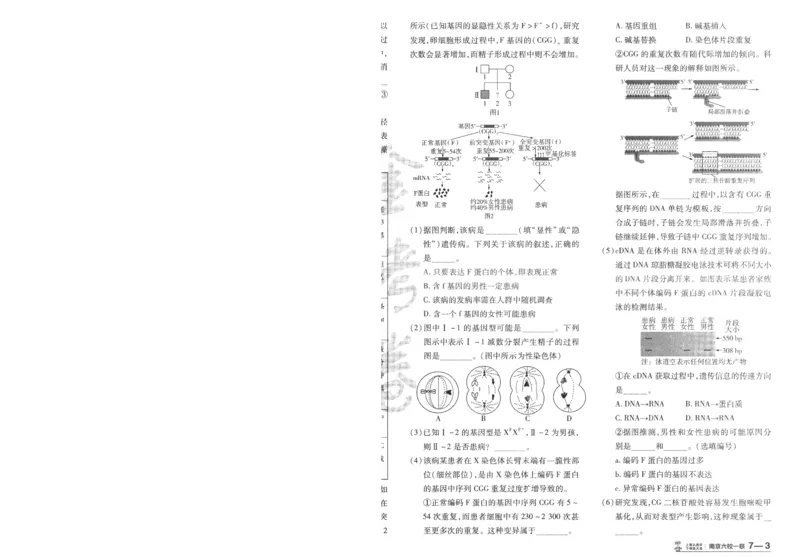 2025《金考卷&middot;特快专递&middot;第3期&middot;生物》A4_2025高中教辅（后续还会更新新习题试卷）_2025版《金考卷特快专递》_2025版金考卷特快专递第三期生物